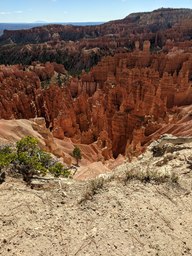 pxl_20231013_172741065_thumb.jpg