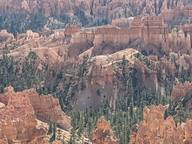 pxl_20231013_173227038_thumb.jpg