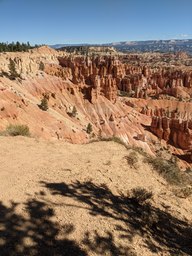 pxl_20231013_174702102_thumb.jpg