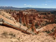 pxl_20231013_181051226_thumb.jpg
