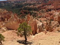 pxl_20231013_181725978_thumb.jpg