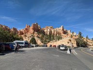 pxl_20231013_201852066_thumb.jpg