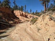 pxl_20231013_202805600_thumb.jpg