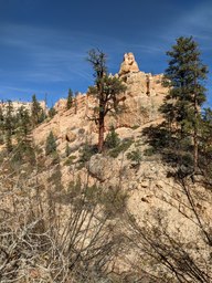 pxl_20231013_202947390_thumb.jpg