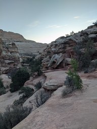 pxl_20231014_134539447_thumb.jpg