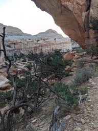 pxl_20231014_135604642_thumb.jpg
