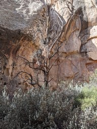 pxl_20231014_161933194_thumb.jpg