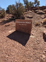 pxl_20231014_195812924_thumb.jpg