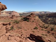pxl_20231014_201113672_thumb.jpg