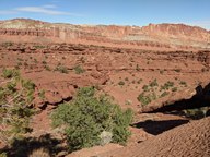 pxl_20231014_201138332_thumb.jpg