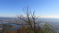 img_0525_thumb.jpg