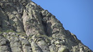 img_2145_thumb.jpg