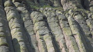 img_2147_thumb.jpg