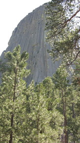 img_2156_thumb.jpg