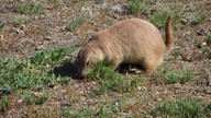 img_2169_thumb.jpg