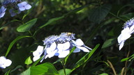 img_4061_thumb.jpg