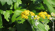 img_4081_thumb.jpg