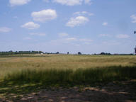 pickets_charge_thumb.jpg