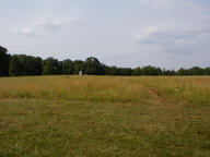 wheat_field_thumb.jpg