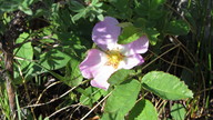 img_2317_thumb.jpg