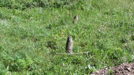img_2324_thumb.jpg