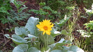 img_2348_thumb.jpg
