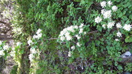 img_2350_thumb.jpg
