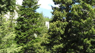 img_2352_thumb.jpg