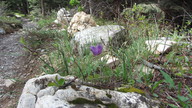 img_2384_thumb.jpg