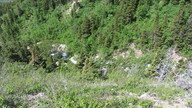 img_2387_thumb.jpg
