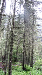 img_2657_thumb.jpg