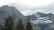 img_2528_thumb.jpg