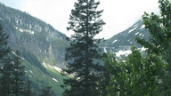 img_2529_thumb.jpg