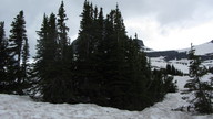 img_2567_thumb.jpg