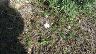 img_2301_thumb.jpg
