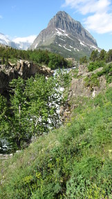img_2306_thumb.jpg