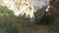 img_2187_thumb.jpg