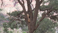 img_2191_thumb.jpg