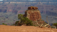 img_2228_thumb.jpg