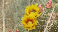 img_2270_thumb.jpg