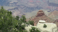 img_2283_thumb.jpg