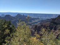 pxl_20231012_180529819_thumb.jpg