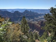 pxl_20231012_181117721_thumb.jpg