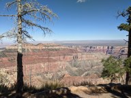 pxl_20231012_203601104_thumb.jpg