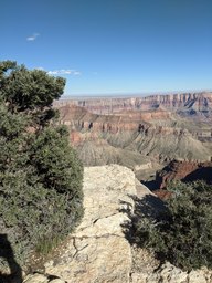 pxl_20231012_220334034_thumb.jpg