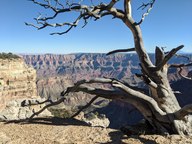 pxl_20231012_223341824_thumb.jpg