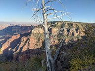 pxl_20231012_231022829_thumb.jpg