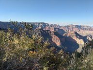 pxl_20231012_231029214_thumb.jpg