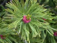 dscn1447_thumb.jpg
