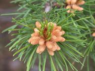 dscn1451_thumb.jpg